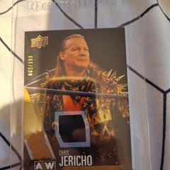 AEW 2021 Upper Deck - Chris Jericho Gold Relic - #062/199 WWE