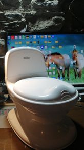 Nuby My Real Potty, Excellent Condition, Fully Working