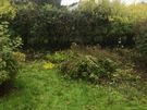 Garden services Image 9