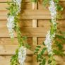 1.8M Cream Wisteria Garland X 2 Image 3