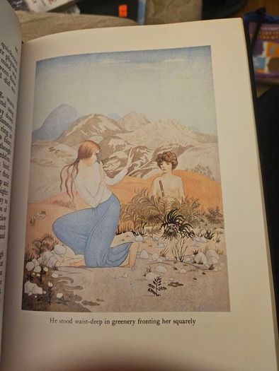 The Crock Of Gold. By James Stephens. Illustrations By Thomas Mackenzie.  1980 Hardback With Dustjacket In Good Condition.  See Photos For Same.