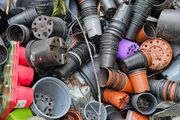 Free Plant Pots