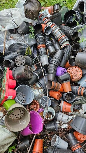 Free Plant Pots