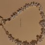 Newbridge Silver Necklace Image 4