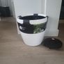 Lechuza Classico 50 pot Image 5