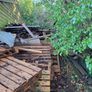 Firewood Image 2