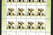 2003 Ireland Greetings (baby animals, puppies) Commemorative Stamp Sheetlet 1B1B1B1B Mint Never Hinged (MNH)