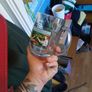 rare guinness pint glass great con Image 8