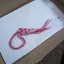 Converse Image 6
