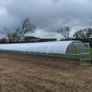 Greenhouse / polytunnel with strong Polycarbonate sheeting Image 2