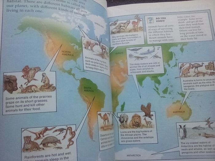 Book: The World of Animals (postage included)