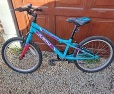 kids 20 inch bike blue