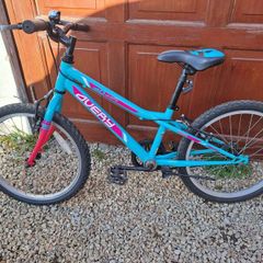 kids 20 inch bike blue