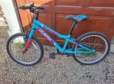 kids 20 inch bike blue