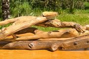 hand crafted studio drift wood centre piece