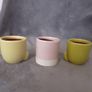 Miniature Plant Holders/Sure to Brighten up Any Room in the Home Image 3