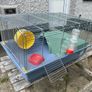 Hamster cage Image 2