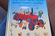 Irish language children's book