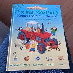 Irish language children's book