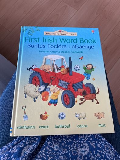 Irish language children's book