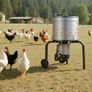 Chicken Plucker Machine, 400mm Drum, 500W & 230RPM Electric Chicken Plucking Machine with 114 Soft Fingers & Transport Wheels, Stainless Steel Feather Remover for Processing 1-2 Chicks Once Image 2