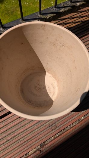 Flower Pot