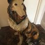 Vintage Rough Collie Dog Image 3