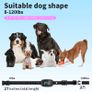 USB Rechargeable Automatic Dogs Training Collar Ultrasonic Pet Dog Anti Barking Stop Barking Vibration Anti Bark Waterproof Collar Devices Type-C Image 8