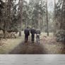 Terranova Vinyl lp Image 2