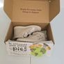 Brand New Pablosky Girls Boots  Size 34 Image 6