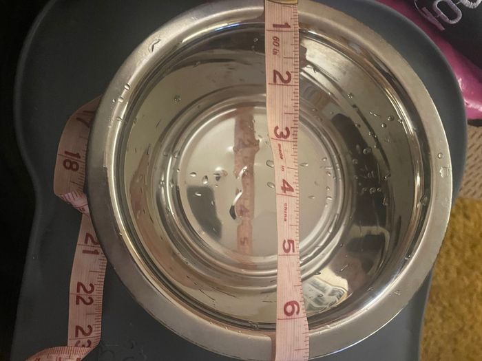 Pecute Dog Bowls Non Slip, Stainless Steel Double Bowls Set with Non-Spill Silicone Mats Tray.