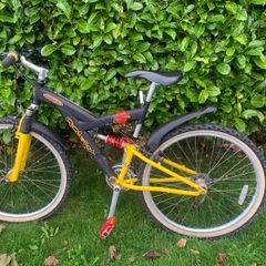 raleigh max mountain bike