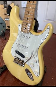 Fender Strat (Mexican). Player series