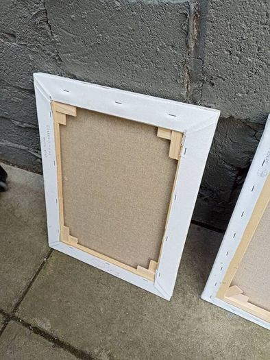 2 X Canvas paintings