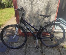 ladies bike