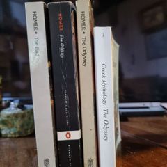 The Odyssey (three different translations) and The Iliad bundle