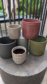 Plant Pots