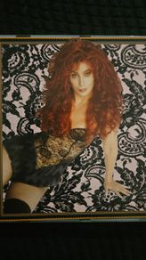 Cher - Greatest Hits: 1965-1992.