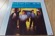 Batch Of Vinyl Records For Sale (3/15) - All Cleaned And In Excellent Condition