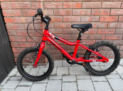 Ridgeback 16"