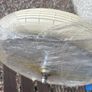 RSW 16 rear wheel with brand new original white baloon tyre. Image 2
