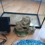 fish tank Image 3