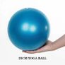 25cm Mini Yoga Ball Fitness Pilates Reduce Fat Ball Thick Explosion-proof PVC Non Slip Gym Home Training Workout Image 2