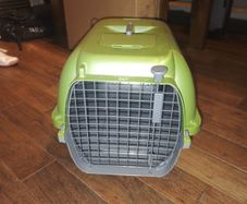 Dogit pet carrier - green