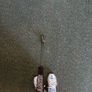 Scotty Cameron Newport Image 10