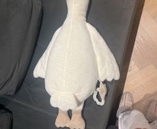 soft goose