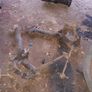 celica gen7 t231 rear arm / hub Image 4