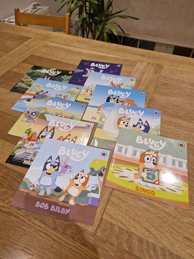Bluey box of books