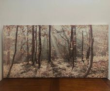 Autumn Leaves Canvas