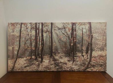 Autumn Leaves Canvas